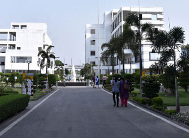 Wi-Fi Enabled Campus