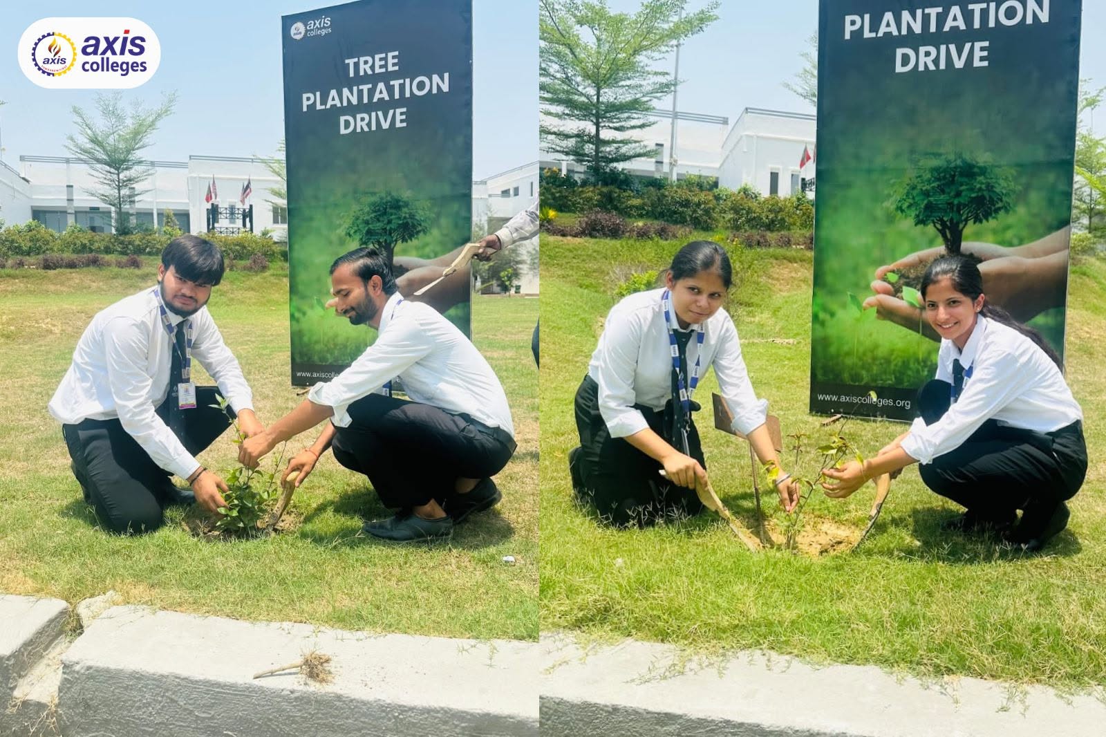 Tree Plantation Drive